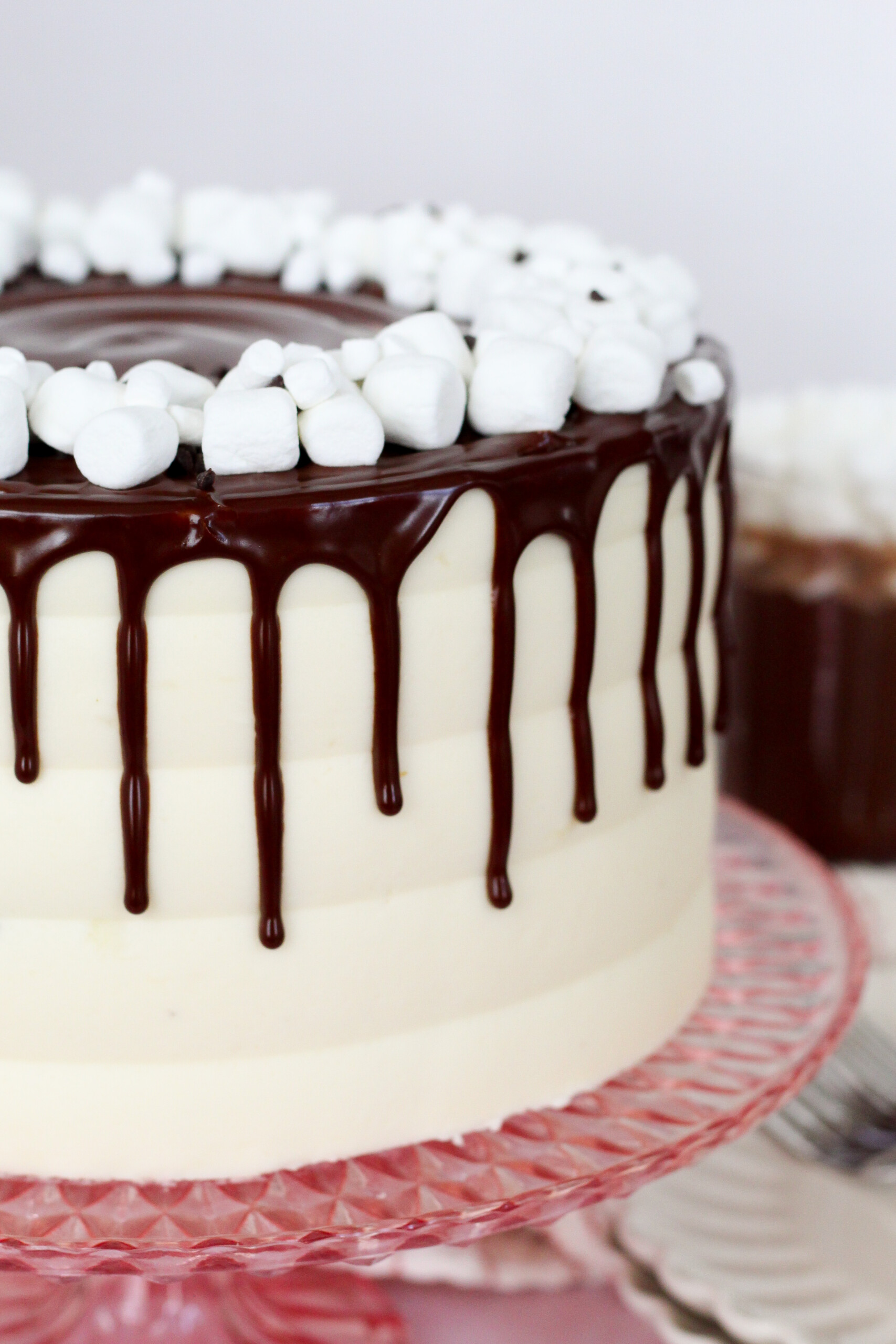 Close up view of a cake with chocolate ganache.