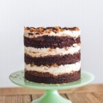 samoa girl scout cookie cake. www.cakebycourtney.com